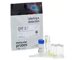 antibody-production-and-purification-reagents-and-kits image